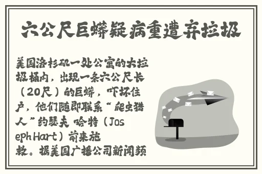 国语自产视频在线不卡